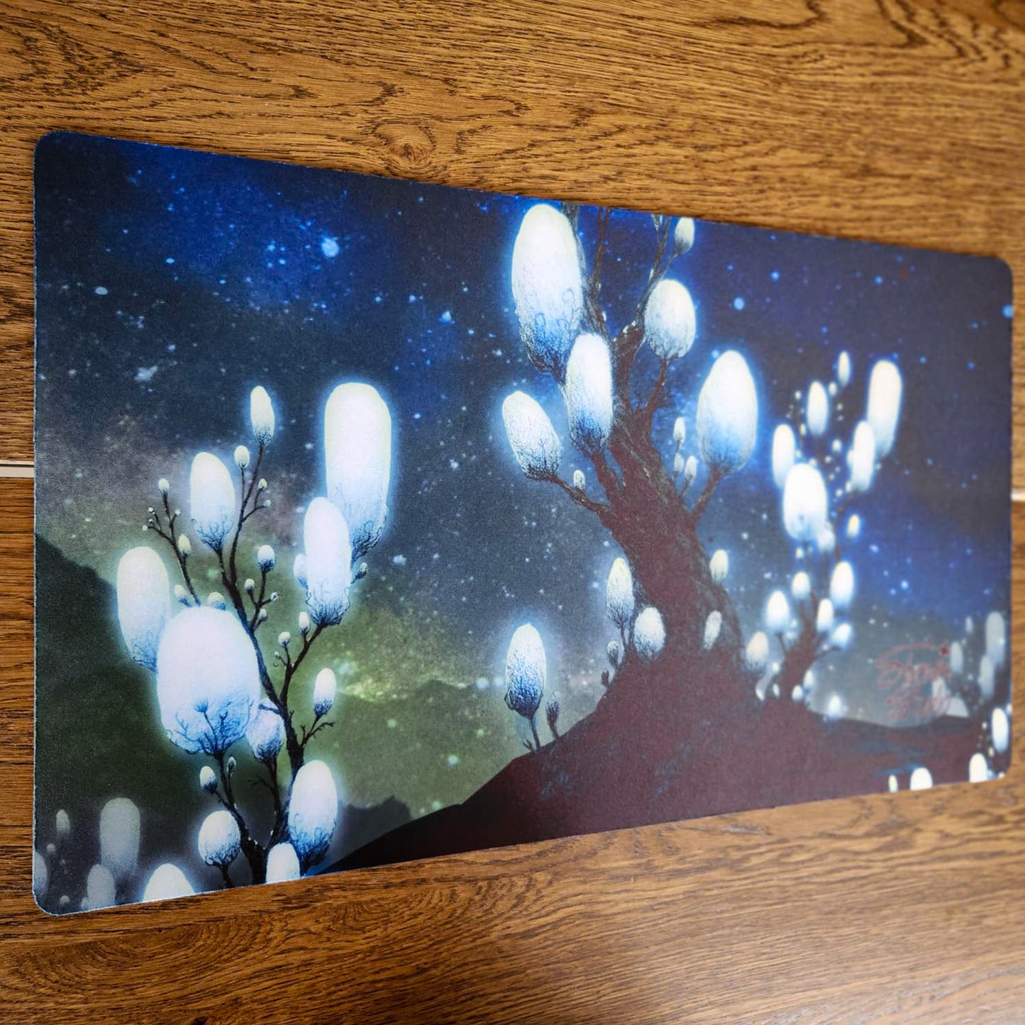 Tapis de souris / Playmat : Champi